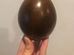 Sederet Fenomena Ilmiah yang Bikin Kaget dan Tercengang