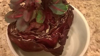 Saat kubis terlalu lama disimpan dalam kulkas. Foto: Bored Panda