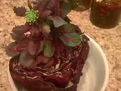 Sederet Fenomena Ilmiah yang Bikin Kaget dan Tercengang