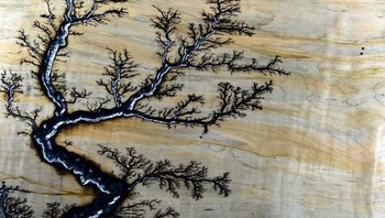 Ketika kayu terkena sengatan tegangan tinggi. Foto: Bored Panda