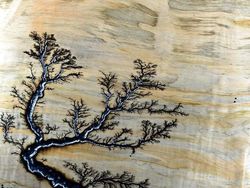 Sederet Fenomena Ilmiah yang Bikin Kaget dan Tercengang