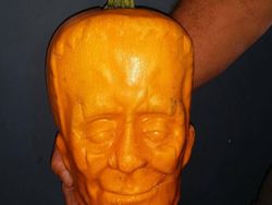 Sederet Fenomena Ilmiah yang Bikin Kaget dan Tercengang