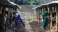 Diketahui ada tiga lokasi penjualan hewan kurban yang didatangi oleh petugas dari Dinas Pertanian, Ketahanan Pangan, dan Perikanan Kota Solo untuk diperiksa kesehatannya.