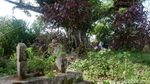 Hii.. Siswa SMP Ini Terpaksa Belajar di Makam