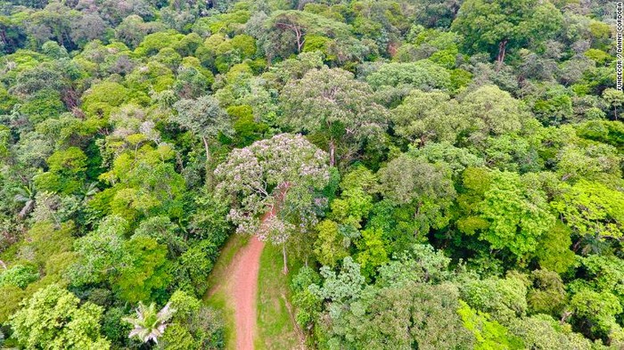 Hutan hujan tropis di Kosta Rika