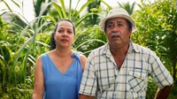 Pedro Garcia (57) adalah perawat hutan hujan tropis di Kosta Rika. Ia menumbuhkan kembali pohon di lahan seluas tujuh hektar, ia namai El Jicaro. Ia merawat lahan ini selama 36 tahun, lokasinya di Sarapiqui, Kosta Rika timur laut.