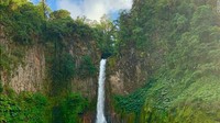 Luas kawasan hutan hujan tropis di Kosta Rika berkurang setengah hingga sepertiga pada tahun 1987. Segera setelah titik terendah di masa ini, pemerintah mengambil serangkaian tindakan radikal untuk mengubah negara itu kembali menjadi surga alami. Pada tahun 1996, adalah hal ilegal melakukan penebangan hutan tanpa izin dari pihak berwenang dan pada tahun berikutnya pemerintah memperkenalkan PES (payments for ecosystem services).  