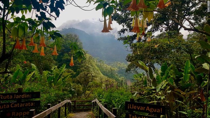 Hutan hujan tropis di Kosta Rika Hutan hujan tropis di Kosta Rika