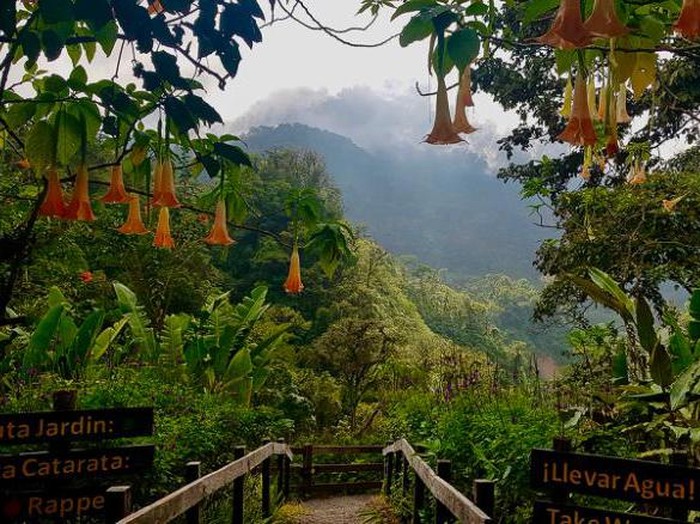 Hutan hujan tropis di Kosta Rika