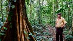 Potret Kosta Rika Mampu Lahirkan Kembali Hutan Hujannya