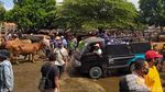 Jelang Idul Adha, Pasar Hewan Muntilan Ramai