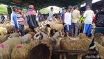 Jelang Idul Adha, Pasar Hewan Muntilan Ramai