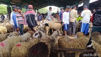 Kepala UPT Puskeswan Dinas Peternakan dan Perikanan (Peterikan) Kabupaten Magelang, drh Nibros Yekti Utami mengatakan, saat prepegan pasar ramai sekali. Lokasi parkiran juga ramai sekali, termasuk hewan ternak yang dibawa menuju pasar banyak sekali. Prepegan, kata dia, hari ini pasar terakhir menjelang Idul Adha. Hal ini karena tiap pasaran Kliwon, ternak besar baik sapi maupun kerbau dan ternak kecil seperti kambing tersedia.