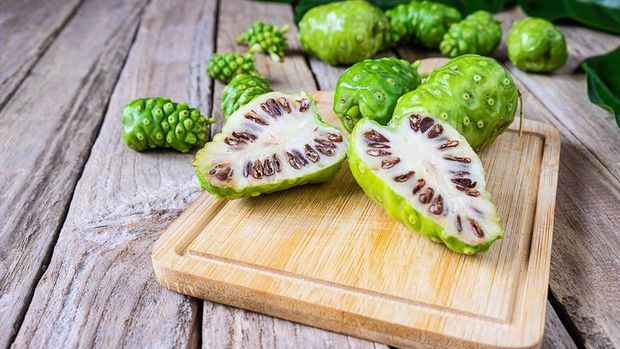 Fakta Jus Mengkudu yang Bisa Tingkatkan Imunitas Tubuh