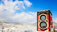 Situs Design Curial membagikan beberapa kafe di berbagai negara yang punya desain unik dan keren. Seperti Dreamy Camera Cafe yang terletak di Yangpyeong, Korea Selatan. Foto: Design Curial