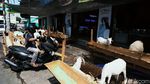 Ketika Hewan Kurban Mejeng di Gerai Ponsel