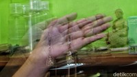 Sasaran sekolah tinggi ini adalah agar terpenuhinya kebutuhan guru-guru agama buddha yang berkualitas dan profesional.  