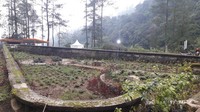 Dengan adanya miniatur Radio Malabar ini akan menjadi objek wisata baru yang bernilai sejarah. Wisata alam dan heritage (warisan sejarah) Bandung-Netherland akan berpusat di Gunung Puntang. (Muhammad Iqbal/detikcom)