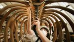 Ini Lho Museum Kerangka Hewan Terbesar di Dunia