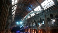 Kerangka Paus Biru menjadi objek utama di pameran Natural History Musium di London, Inggris. Yui Mok - WPA Pool/Getty Images  