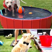 Ingin membelikan anjing peliharaan kolam renang untuk bermain-main, barang yang dibeli secara online malah sungguh ngenes kondisinya. Kolam renang yang dibeli hanya muat untuk kaki sang anjing. Foto: dok. © offtherichter / reddit.