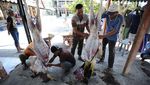 Begini Panduan Potong Kurban di Era New Normal