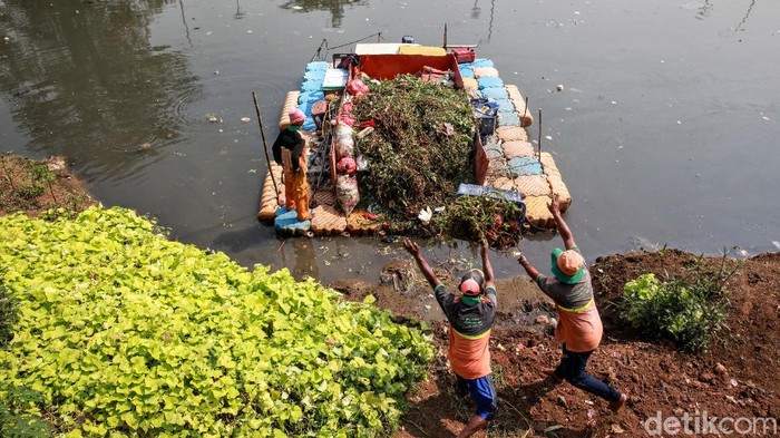 Perahu Pengangkut  Sampah  di BKB Efektif Bersihkan Lingkungan