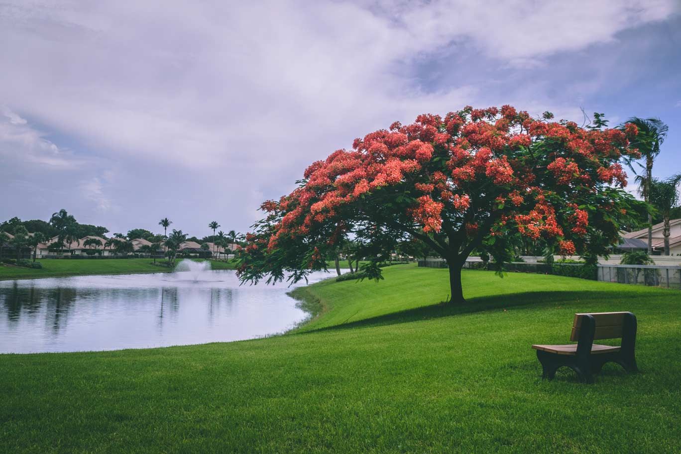 Sentosa Park