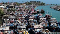 Tak tampak sejumlah aktivitas di atas kapal-kapal yang dibiarkan bersandar tersebut.