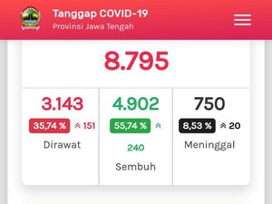 Update COVID-19 di Jateng 28 Juli: 8.795 Positif, 750 Meninggal