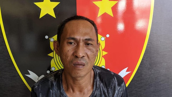 Tukang servis elektronik curi 4 sapi di Palopo, Sulsel
