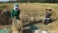 Mereka mencatat hingga pekan keempat Juli 2020, realisasi pengadaan beras dalam negeri telah mencapai 850 ribu ton di seluruh Indonesia.