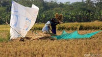 Direktur Utama Perum Bulog Budi Waseso mengatakan realisasi penyerapan tersebut setara 60,7% dari target.