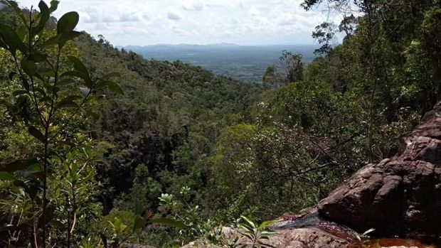 Air terjun manjang merah