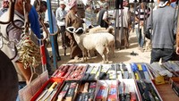 Pisau-pisau yang telah diasah juga dijual di pasar hewan kurban. AP Photo/Adel Hana  