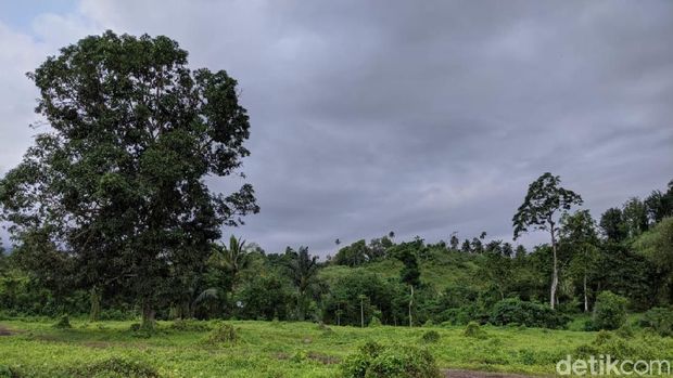 Calon Lokasi Pusat Data Nasional di Bitung, Sulawesi Utara