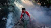 Populasi nyamuk sendiri meningkat seiring masuknya musim kemarau.