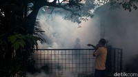 DBD sendiri menjadi penyakit yang banyak memakan korban jiwa di Indonesia.