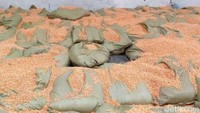 Lokasi gudang ini berada di Jalan Pegaulan No. 4, Sukaresmi, Cikarang Selatan, Kabupaten Bekasi yang resmi dirilis pihak Mabes Polri bersama Bea Cukai pada Rabu (29/7/2020).