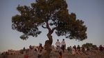 Terpesona Keindahan Alam di Bukit Areopagus Athena