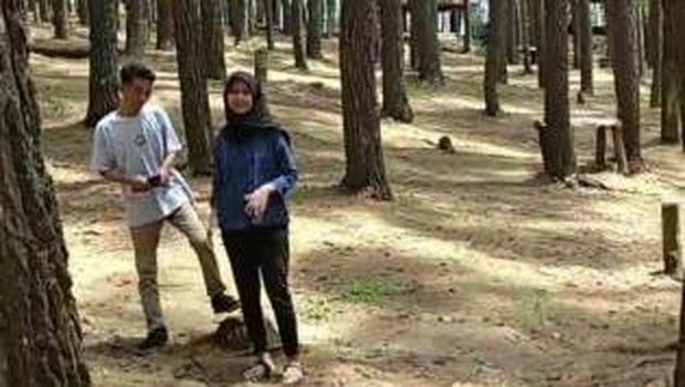 Hutan Pinus Mangunan
