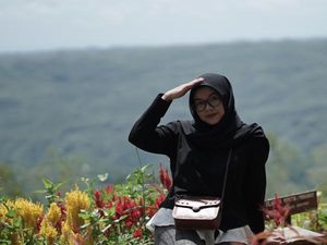 Hutan Pinus Mangunan, Dulunya Tandus Kini Digemari Wisatawan