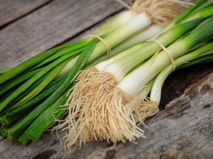 Luka Masa Lalu Bikin Petani Ini Mencuri 216 Kg Daun Bawang