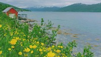 Disandingkan dengan alam yang indah, Tromso jadi makin eksotis. (Ruswandi/Istimewa)
