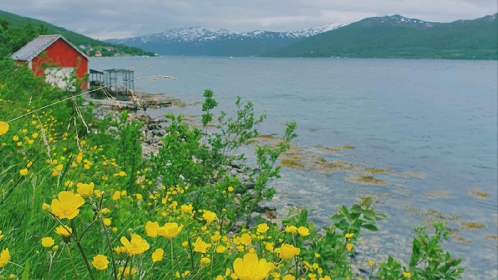 Kota Bunga Tromso Kota Bunga Tromso
