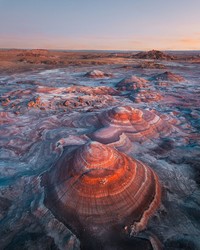 #Landscape2020 by Agora