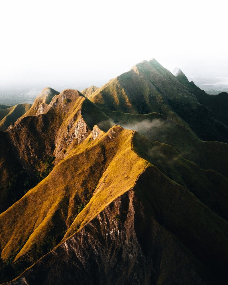 #Landscape2020 by Agora