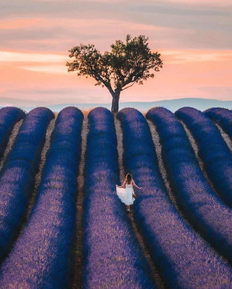 #Landscape2020 by Agora