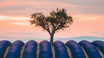 Karya finalis @rakia10 dari Spanyol. Foto: Agora Images