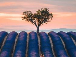 Karya Memukau Finalis Kontes Foto Landscape Agora, Bikin Kangen Liburan